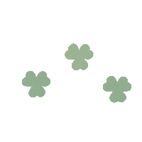 Effects Sticker by Irish Women Abroad