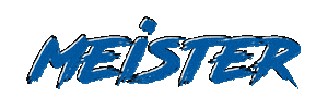 Handball Meister Sticker by SuS Stadtlohn 19/20