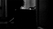 alain delon GIF by Maudit