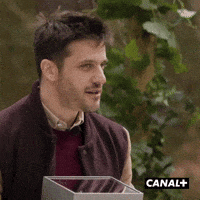 Irl Village GIF by CANAL+
