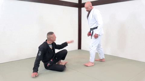 ritchieyip giphygifmaker bjj butt scooting GIF