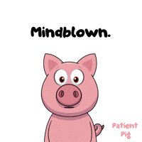 Shocked Blown Away GIF by VeeFriends