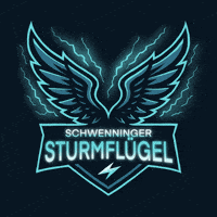 Del Schwenningen GIF by HIGHspeeΔ