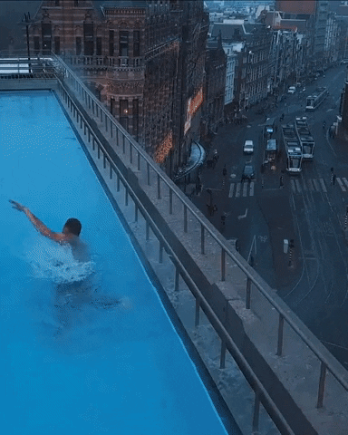 Amsterdenim giphygifmaker city pool swimming GIF