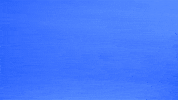 Frozen Custard Dessert GIF by Culver's