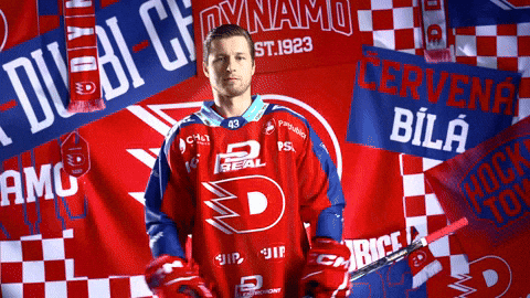 Daniel Gazda GIF by HC Dynamo Pardubice