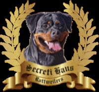 Rottweiler GIF by Maximum K9