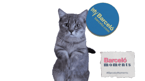 Istanbul Barcelo Sticker by Barceló Hotel Group Turkiye