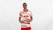Dust Off Champions League GIF by RB Leipzig