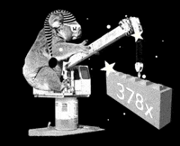 Koala Hildesheim GIF by woodlands collective