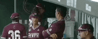 College World Series Baseball GIF by NCAA Championships