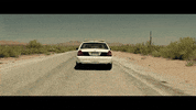 GIF by Signature Entertainment