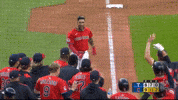 Sport Celebrate GIF by MLB