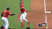 Sport Celebrate GIF by MLB