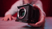 GIF by LensProToGo