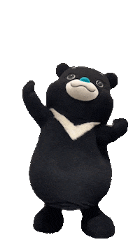 Bravo_Taipei 讚讚 熊讚 taipeibravo bravobear Sticker