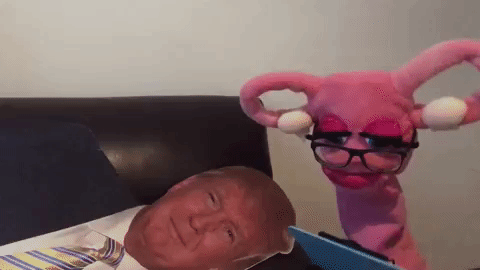 GIF by Abortion Access Front