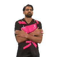 Premier League Ball Sticker by Somerset County Cricket Club