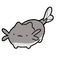 PondHQ cat cats silly nod Sticker