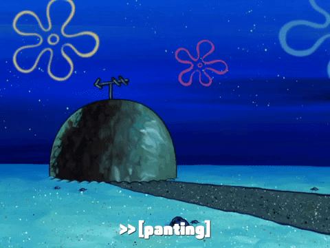 season 6 gullible pants GIF by SpongeBob SquarePants