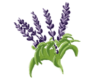 Hair Flower Sticker by Anarkhìa Bio