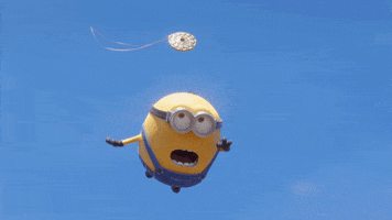 Fall Bird GIF by Minions