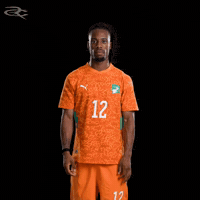 Fifa World Cup Elephants GIF by Respective