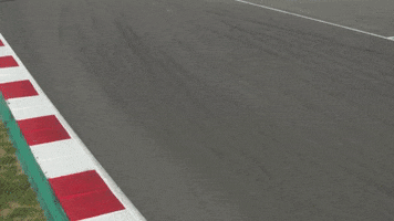 redbullracing france 2019 f1 french GIF