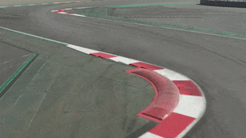 redbullracing france 2019 f1 french GIF
