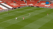 Spurs Tottenham GIF by MolaTV