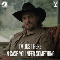 Paramount Network Love GIF by Yellowstone