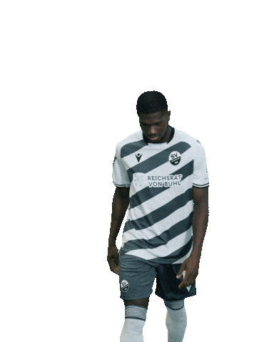 3Liga Sticker by SV Sandhausen