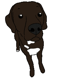 Dog Tongue Out Sticker