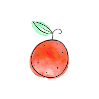 LeighElizabethStudio orange fruit lemon watermelon Sticker
