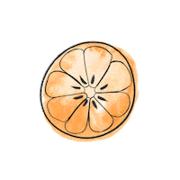 LeighElizabethStudio orange fruit lemon watermelon Sticker