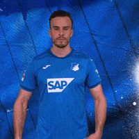 Sport Bundesliga GIF by TSG Hoffenheim