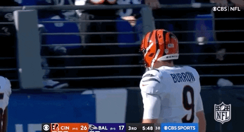 Cincinnati Bengals Football GIF by NFL