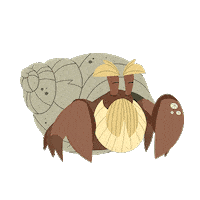 Hermit Crab Animation Sticker by Puffin Rock