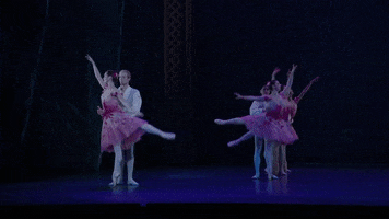 Nutcracker GIF by English National Ballet