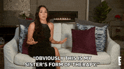 brie bella therapy GIF by E!