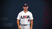 Pro GIF by USA Baseball