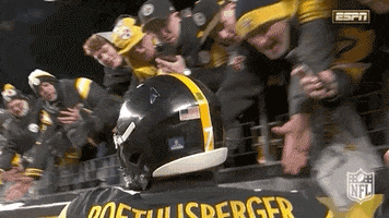 Pittsburgh Steelers Football GIF by NFL