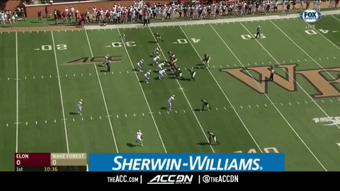 zdunn giphygifmaker GIF