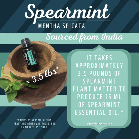 Diffuse Essential Oils GIF by Jennifer Accomando