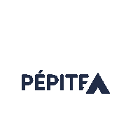 pepiteozer uga pepite entrepreneuriat ozer Sticker