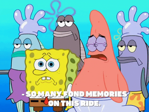 season 8 episode 20 GIF by SpongeBob SquarePants