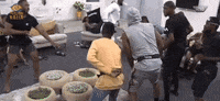 BigBrotherNaija party dancing lit the boys GIF