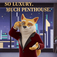 Shiba Inu Crypto GIF by Doge Pound