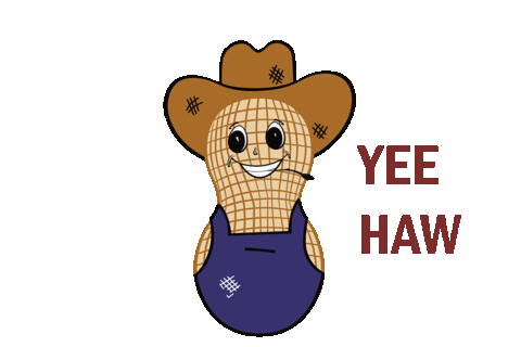 Country Cowboy Sticker by ALL Good Peanut Co