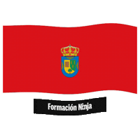 Castilla Y Leon Flag Sticker by Formación Ninja